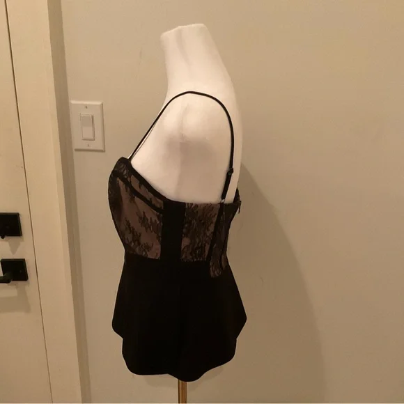 BCBGMaxAzria Black and Tan Lace Top - Picture 3 of 6